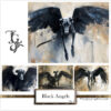 Black greyhound with angel wings, symbolizing elegance and mystery.