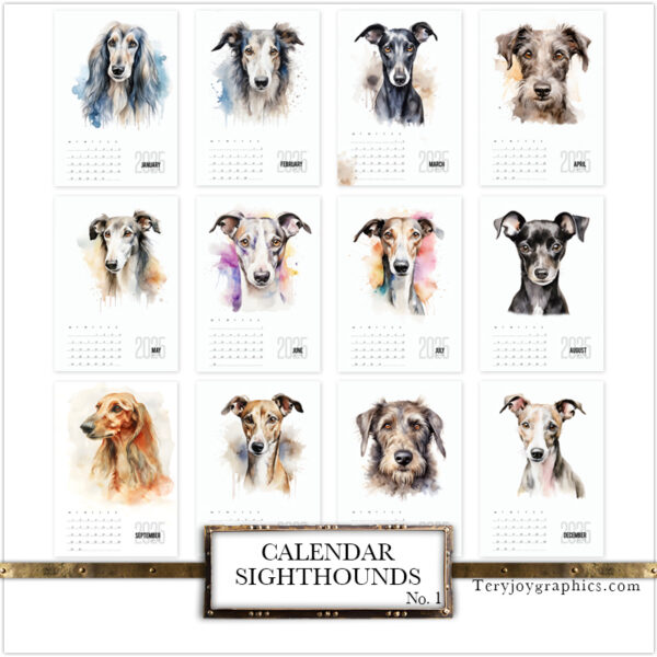 Captivating TJG calendar for the upcoming year, showcasing a wide array of greyhounds, from the Italian Greyhound to the Irish Wolfhound, a new portrait for each month.