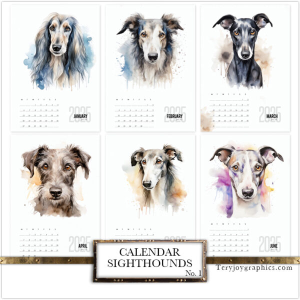 Captivating TJG calendar for the upcoming year, showcasing a wide array of greyhounds, from the Italian Greyhound to the Irish Wolfhound, a new portrait for each month.