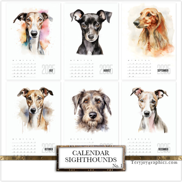 Captivating TJG calendar for the upcoming year, showcasing a wide array of greyhounds, from the Italian Greyhound to the Irish Wolfhound, a new portrait for each month.