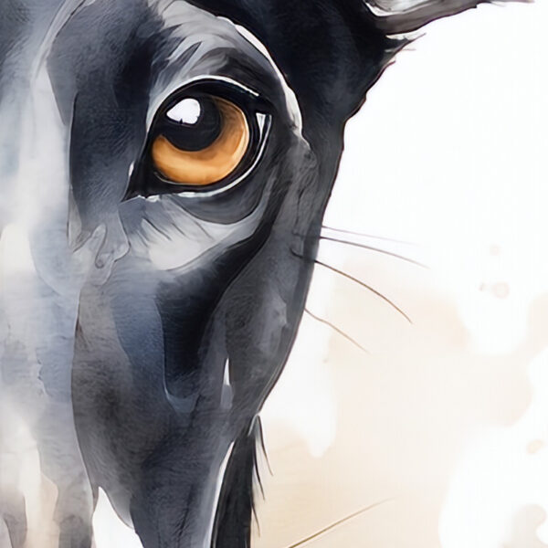 Captivating TJG calendar for the upcoming year, showcasing a wide array of greyhounds, from the Italian Greyhound to the Irish Wolfhound, a new portrait for each month.