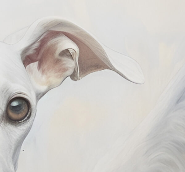The irresistible image of a white greyhound angel, majestic gaze, and white wings, by Tery Joy Graphics.