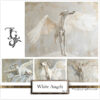 The irresistible image of a white greyhound angel, majestic gaze, and white wings, by Tery Joy Graphics.