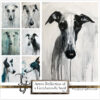 Greyhound portrait with azure highlights in a monochromatic scheme, from the 'Azure Reflection of a Greyhound's Soul' digital art series.