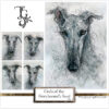 Curls of the Greyhound's Soul No.1