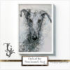 Curls of the Greyhound's Soul No.1 - Image 4