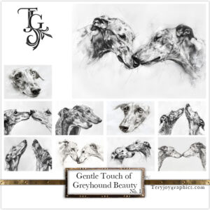 The subtle beauty of a greyhound's portrait, captured in pencil by Tery Joy Graphics.