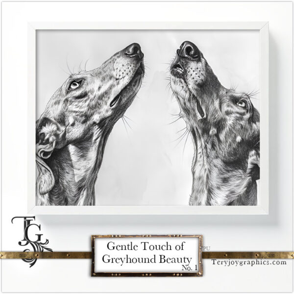 The subtle beauty of a greyhound's portrait, captured in pencil by Tery Joy Graphics.