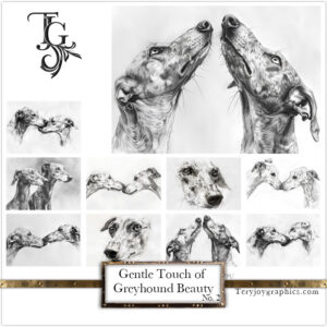 The subtle beauty of a greyhound's portrait, captured in pencil by Tery Joy Graphics.