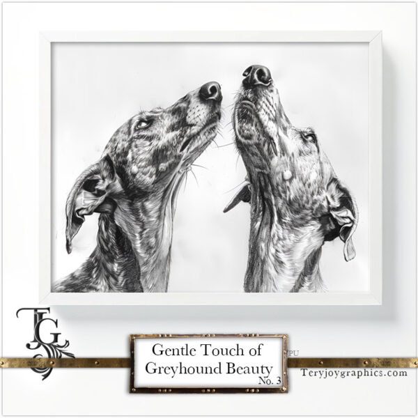 The subtle beauty of a greyhound's portrait, captured in pencil by Tery Joy Graphics.