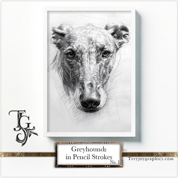 Greyhounds in Pencil Strokes No.1 - Image 6