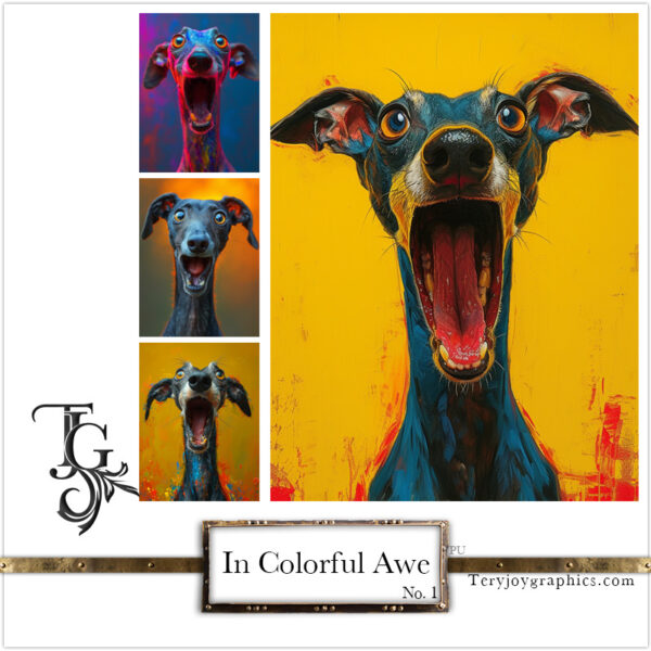 In Colorful Awe No.01