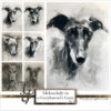 Watercolor greyhound, "Melancholy in a Greyhounds Gaze" series, AI-generated digital art, Tery Joy Graphics.