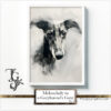 Watercolor greyhound, "Melancholy in a Greyhounds Gaze" series, AI-generated digital art, Tery Joy Graphics.