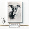 Watercolor greyhound, "Melancholy in a Greyhounds Gaze" series, AI-generated digital art, Tery Joy Graphics.