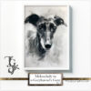 Watercolor greyhound, "Melancholy in a Greyhounds Gaze" series, AI-generated digital art, Tery Joy Graphics.