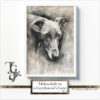 Watercolor greyhound, "Melancholy in a Greyhounds Gaze" series, AI-generated digital art, Tery Joy Graphics.