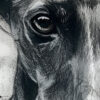 Watercolor greyhound, "Melancholy in a Greyhounds Gaze" series, AI-generated digital art, Tery Joy Graphics.
