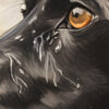 Tales of Silent Eyes No.1 - Image 12