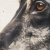 Tales of Silent Eyes No.2 - Image 12