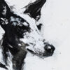 Podenco images in a variety of artistic techniques, from the 'Podenco in Every Image No. 1' digital art series.