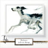 Podenco images in a variety of artistic techniques, from the 'Podenco in Every Image No. 2' digital art series.