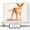 Podenco images in a variety of artistic techniques, from the 'Podenco in Every Image No. 2' digital art series.