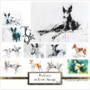 Podenco in Every Image No.4