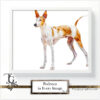 Podenco images in a variety of artistic techniques, from the 'Podenco in Every Image No. 4' digital art series.