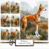 Podenco in its natural setting highlighted with watercolor and digital techniques.