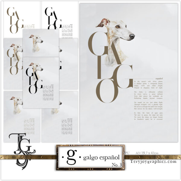 • G • galgo español No.3