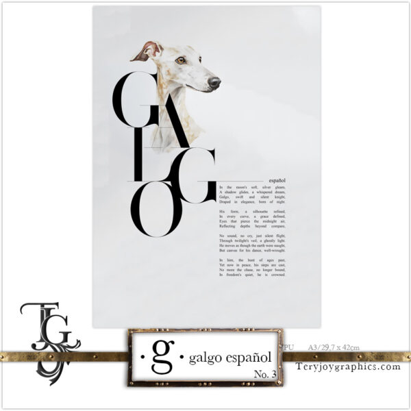 • G • galgo español No.3 - Image 9