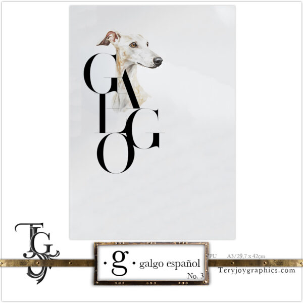 • G • galgo español No.3 - Image 3