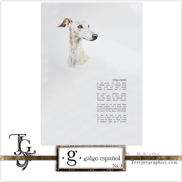 • G • galgo español No.3 - Image 8