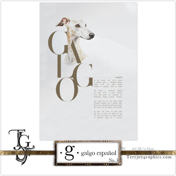 • G • galgo español No.3 - Image 2