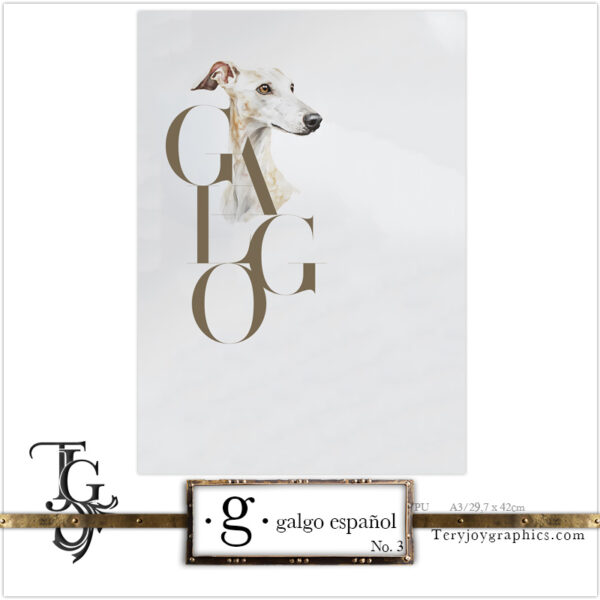 • G • galgo español No.3 - Image 6